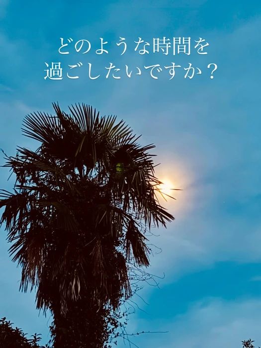 画像381