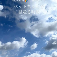 画像386