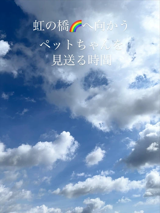 画像386