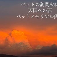画像390