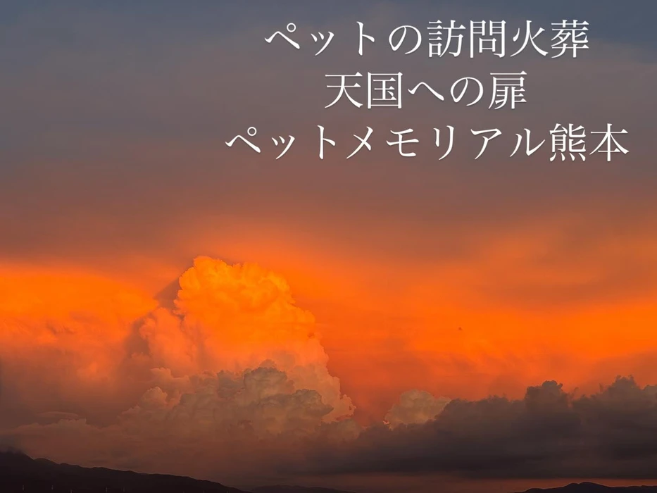 画像390