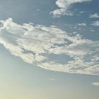 画像395