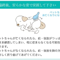 画像410