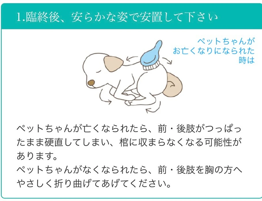 画像410