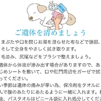 画像411