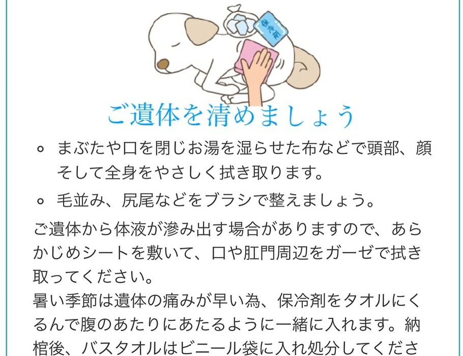 画像411