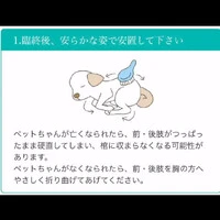 画像415