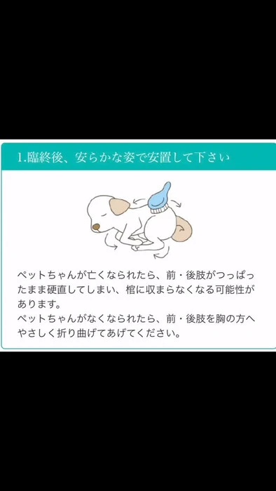 画像415