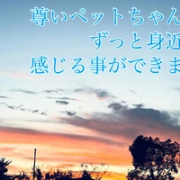 画像420