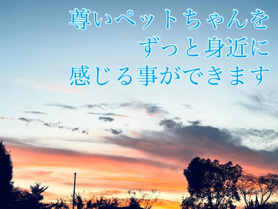 画像420