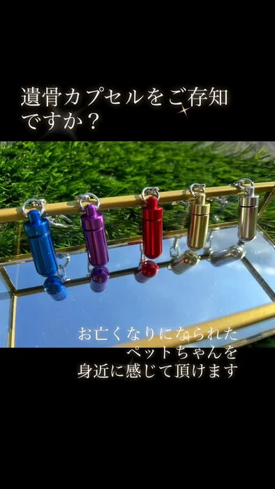 画像423