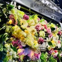 画像426