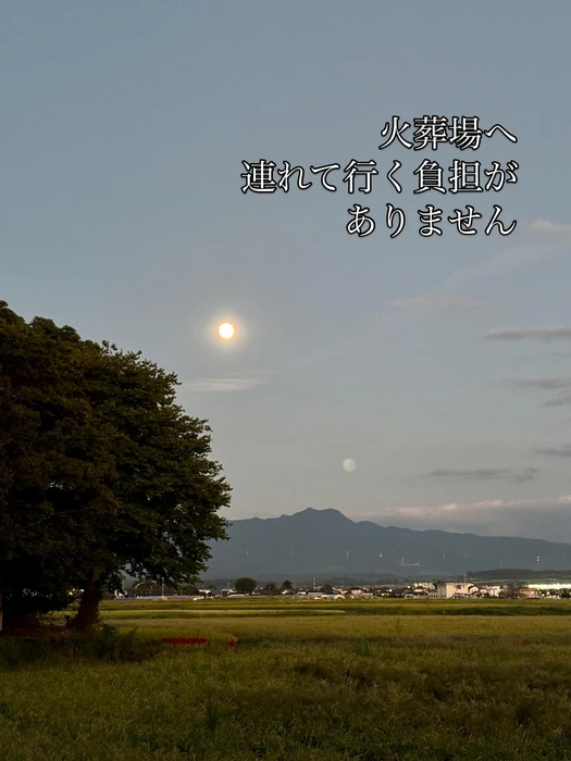 画像427