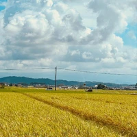 画像429
