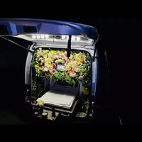画像441