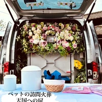 画像443