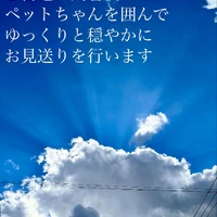 画像453