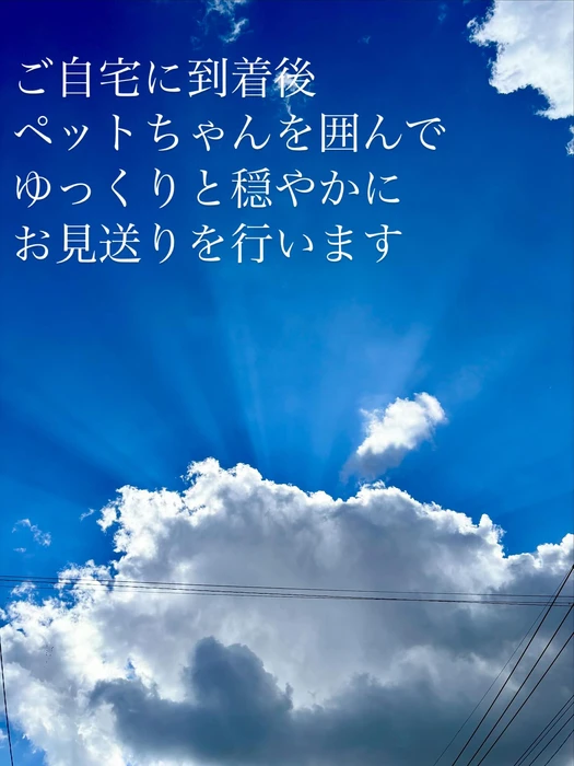画像453
