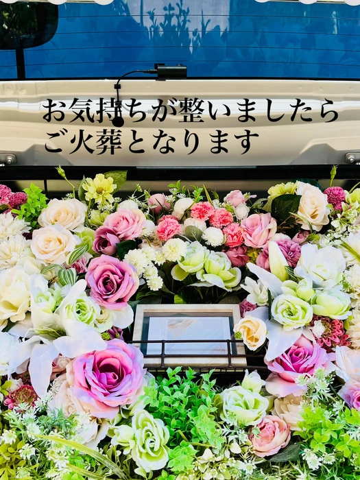 画像454