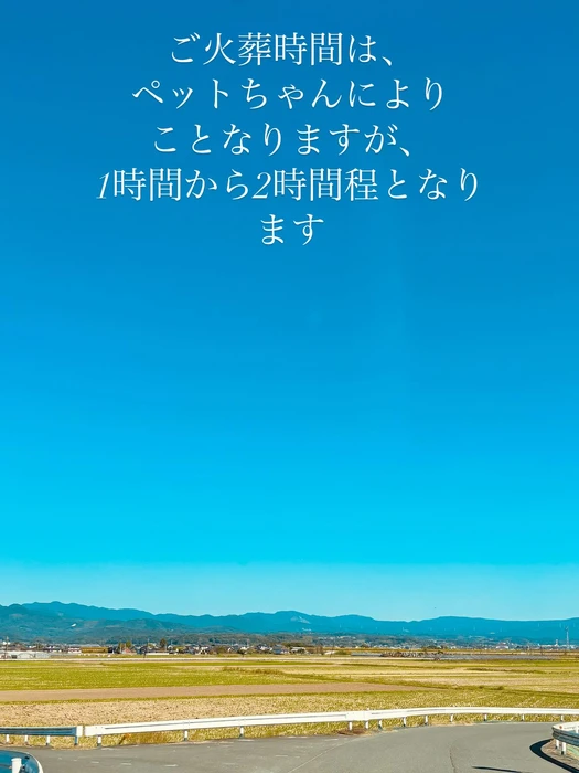 画像455