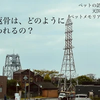 画像461