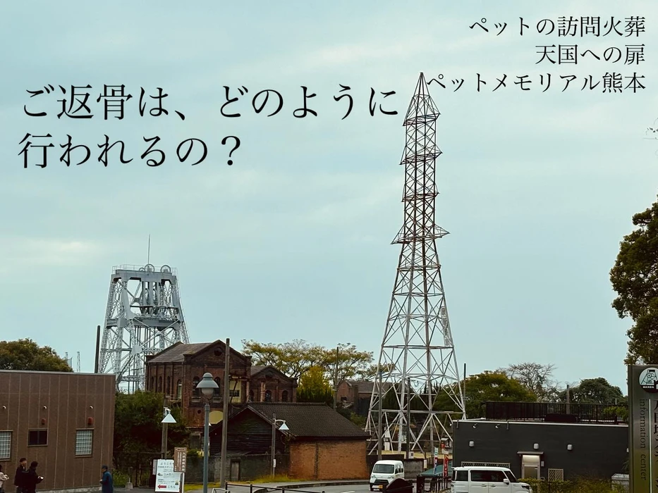 画像461