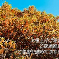 画像463
