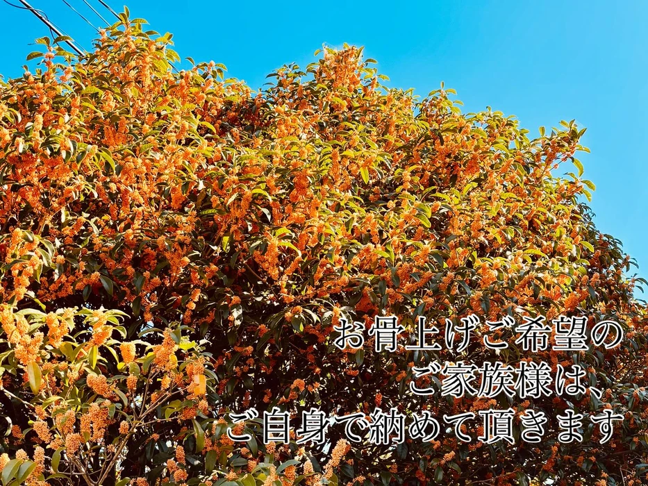 画像463