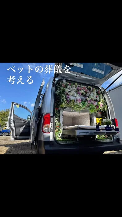 画像477
