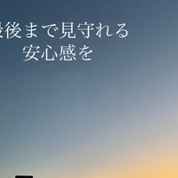 画像482