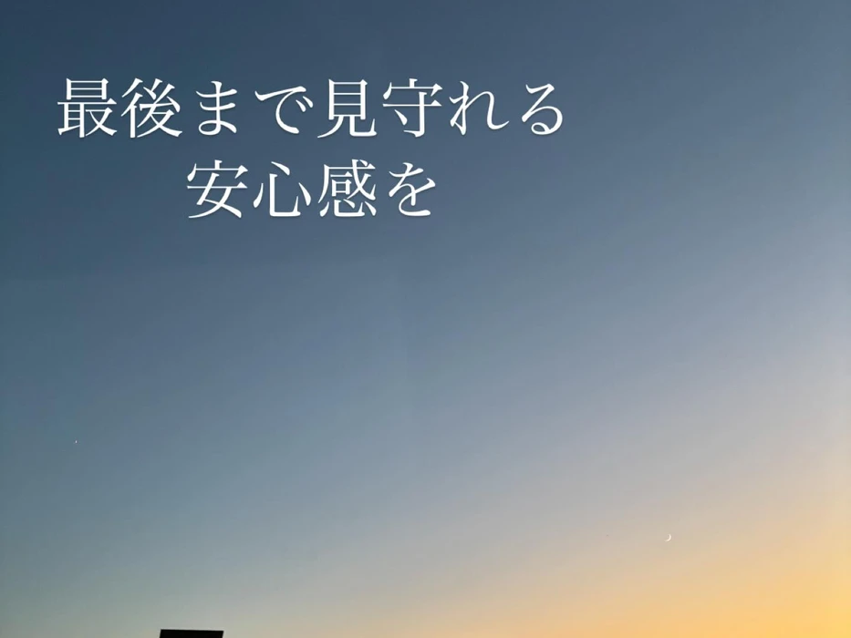 画像482
