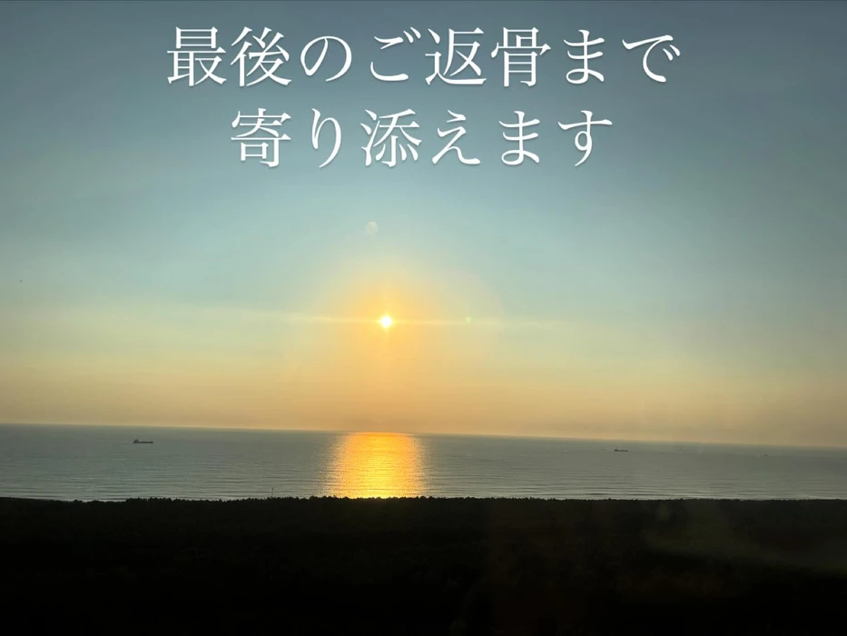 画像484