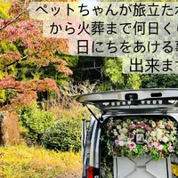 画像488