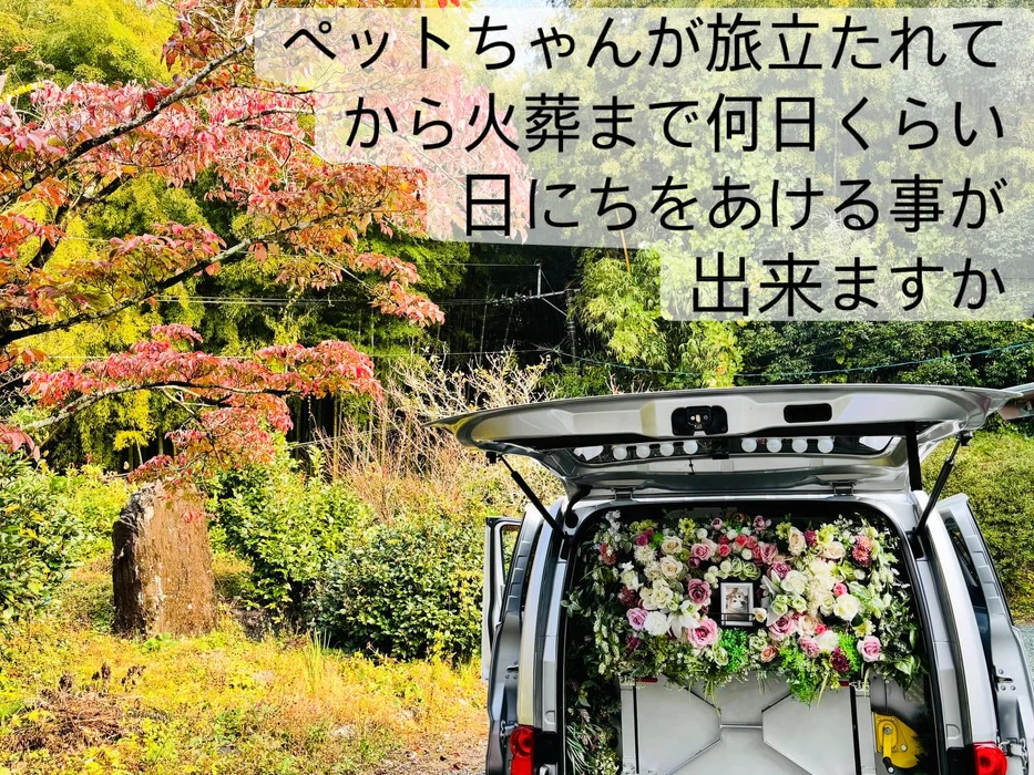 画像488
