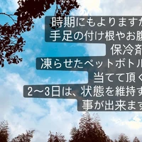画像489