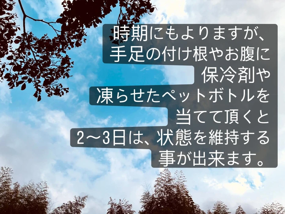 画像489