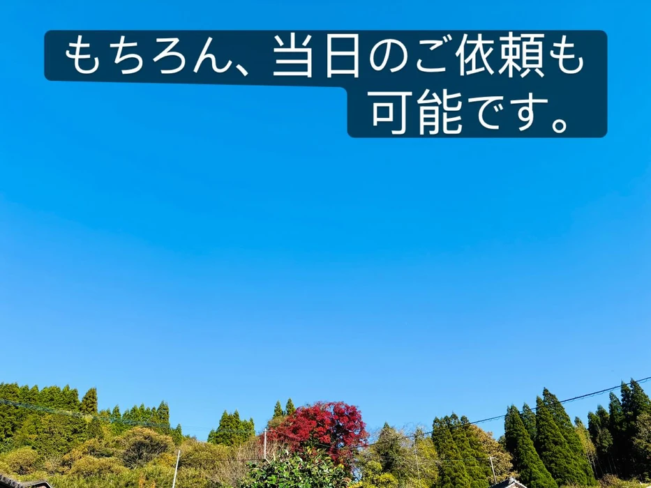 画像491