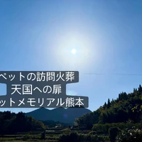 画像494