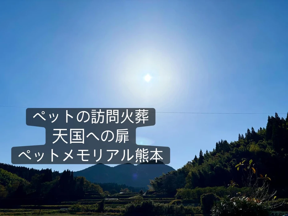 画像494