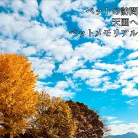 画像499