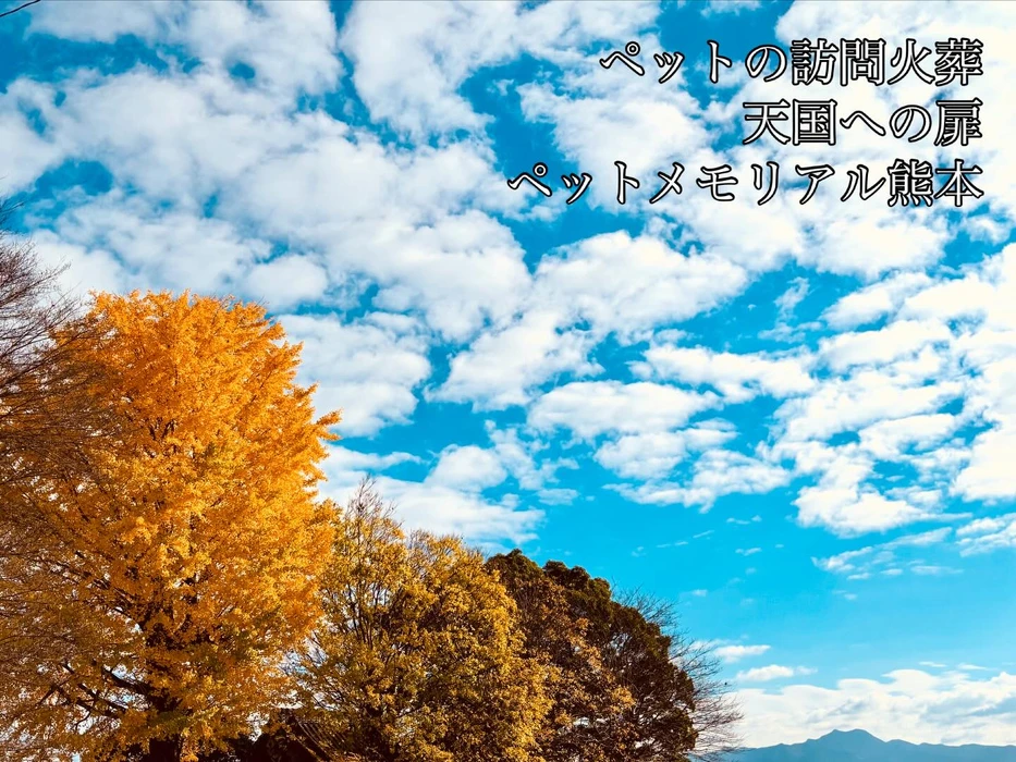 画像499