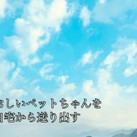 画像507