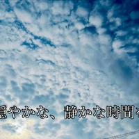 画像509