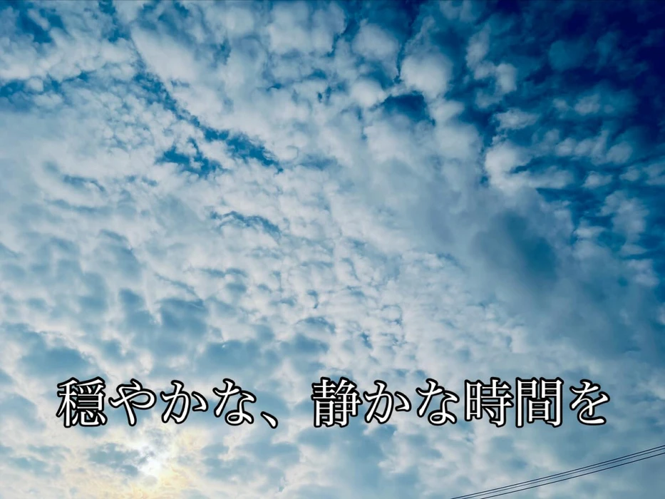 画像509