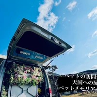 画像517
