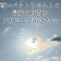 画像518