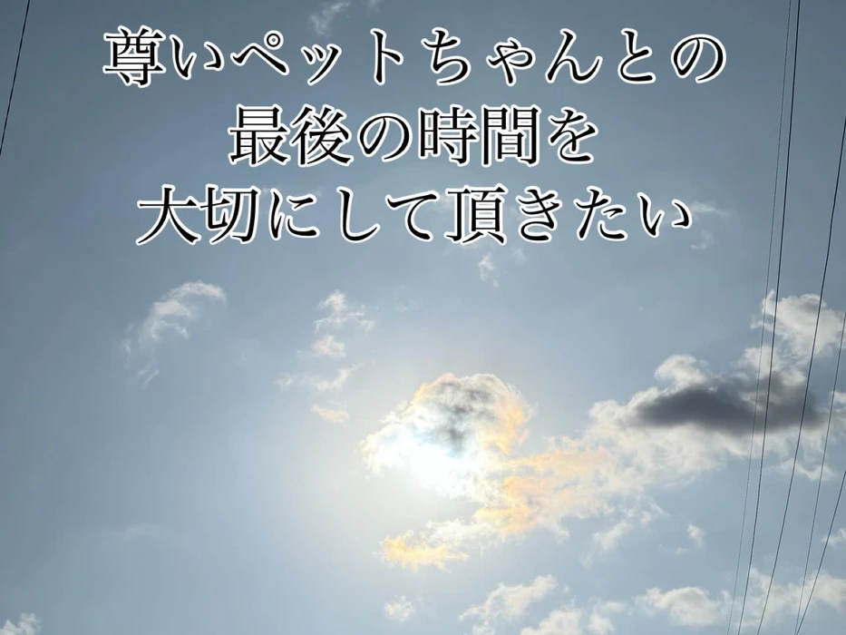 画像518