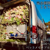 画像526