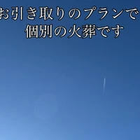画像528