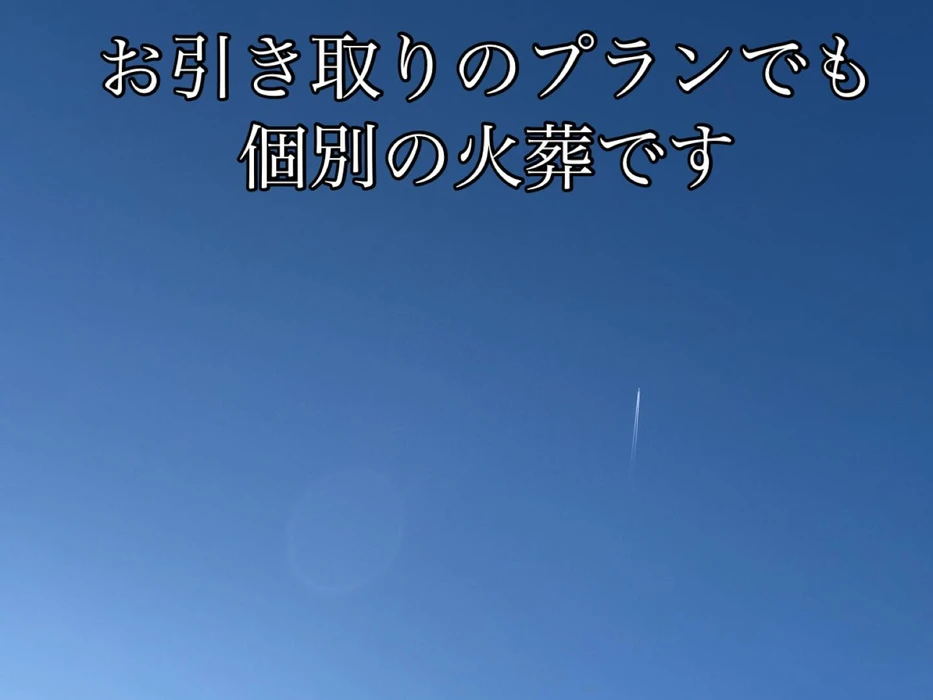画像528